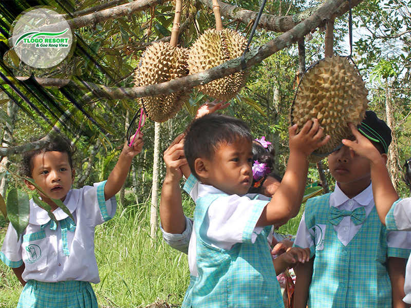 wisata-agro-tlogo-resort-web-support-develop-by-duaide-outbound-perkebunan-durian