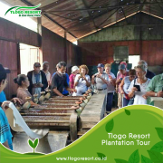 tlogo-resort-plantation-tour-guide-salatiga-goa-rong